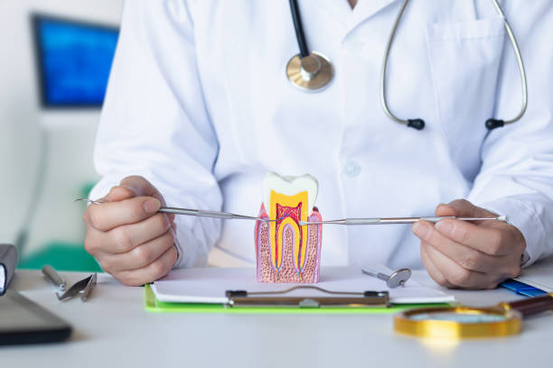 Best Emergency Broken Tooth Repair in Roseland, OH